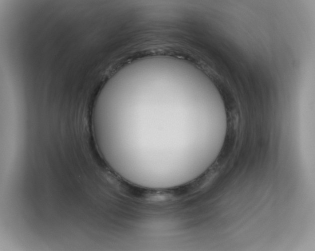 X0000113250754200909100942