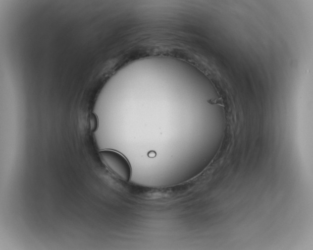 X0000113250756200909100942