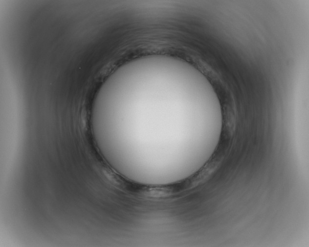 X0000113250758200909100942