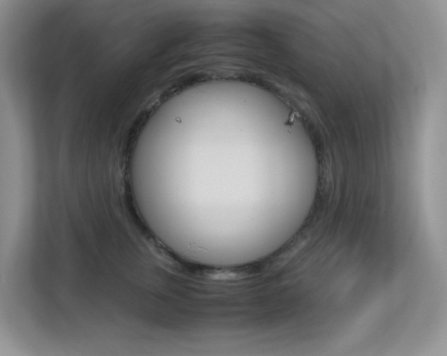 X0000113250759200909100942
