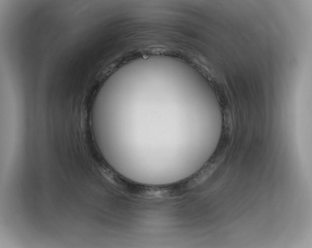 X0000113250760200909100942