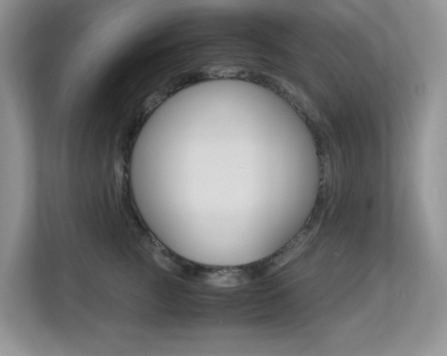 X0000113250761200909100942