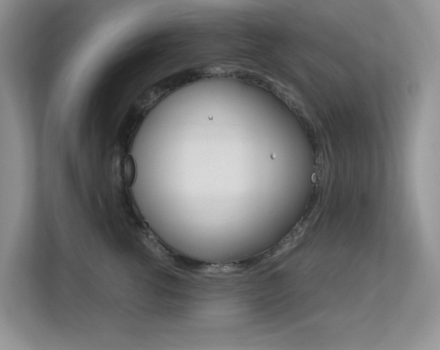 X0000113250762200909100942