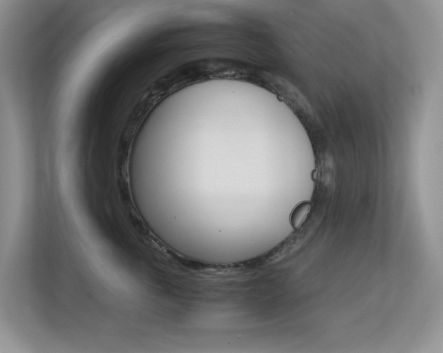 X0000113250763200909100942