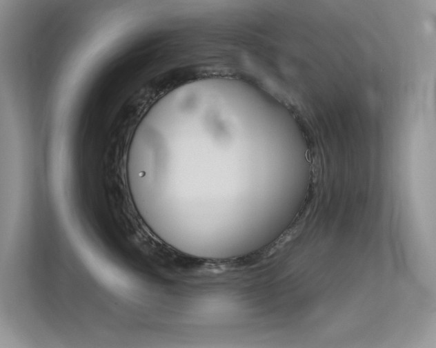 X0000113250764200909100943