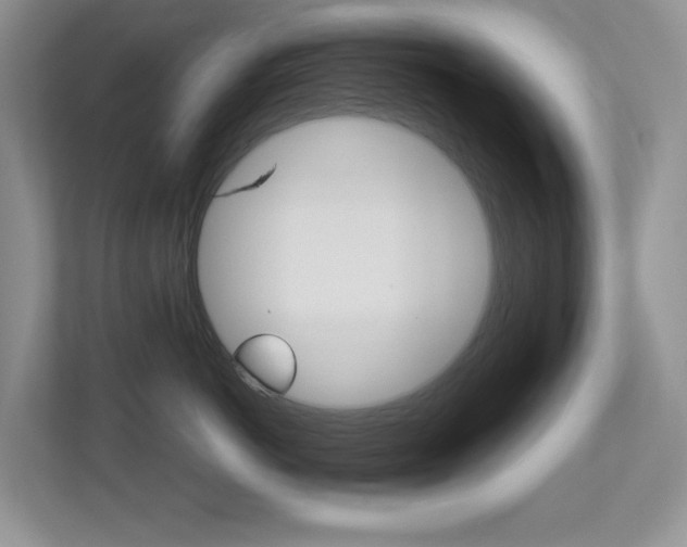 X0000113250766200909100943