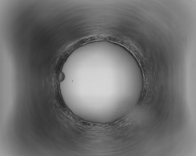 X0000113250773200909100942