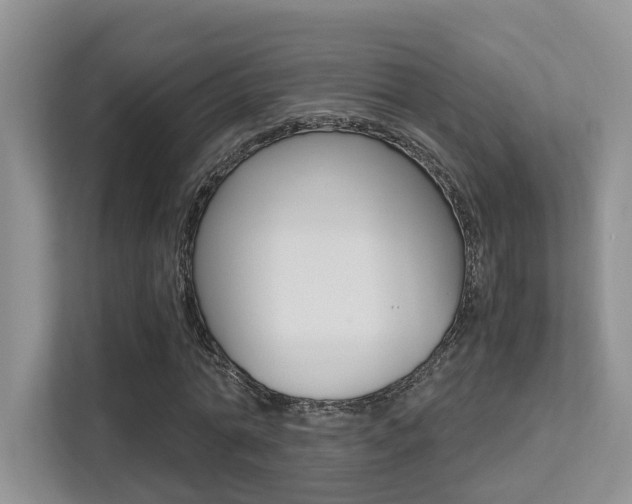 X0000113250774200909100942