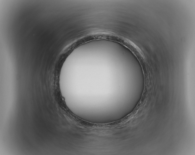 X0000113250775200909100942