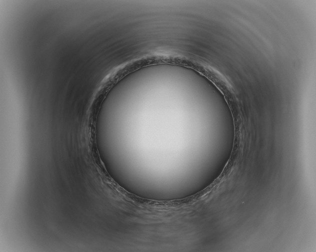 X0000113250776200909100942