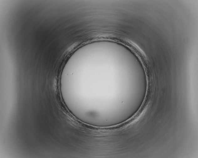 X0000113250777200909100942