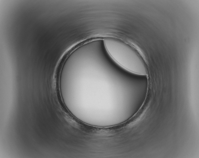 X0000113250779200909100942