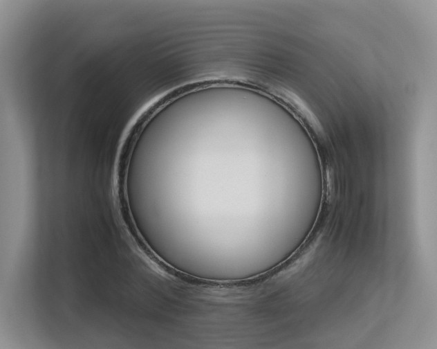 X0000113250780200909100942
