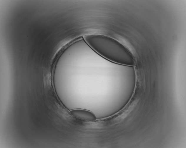 X0000113250781200909100942