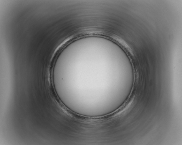 X0000113250782200909100942