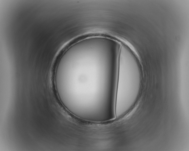 X0000113250783200909100942