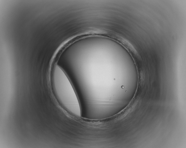 X0000113250784200909100942