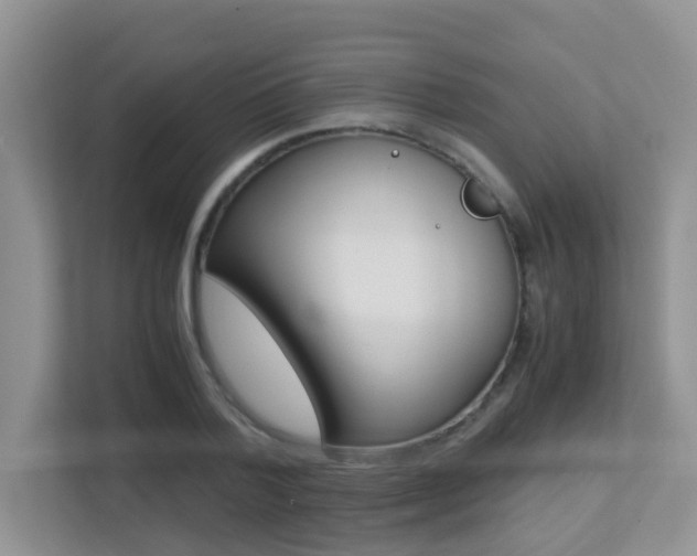 X0000113250788200909100942