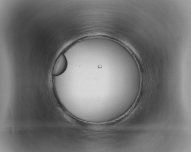 X0000113250789200909100942