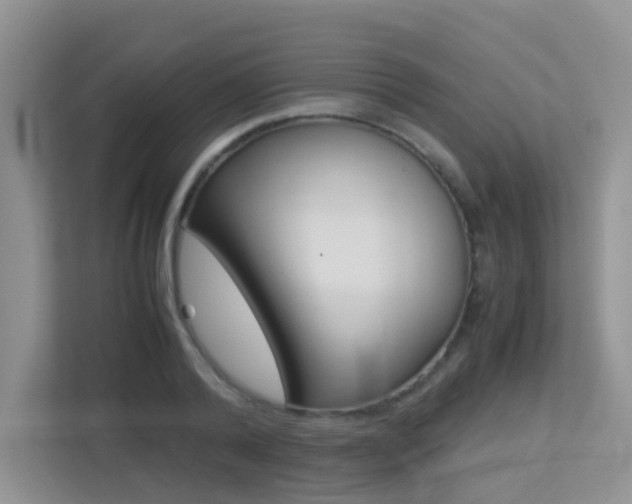 X0000113250792200909100942
