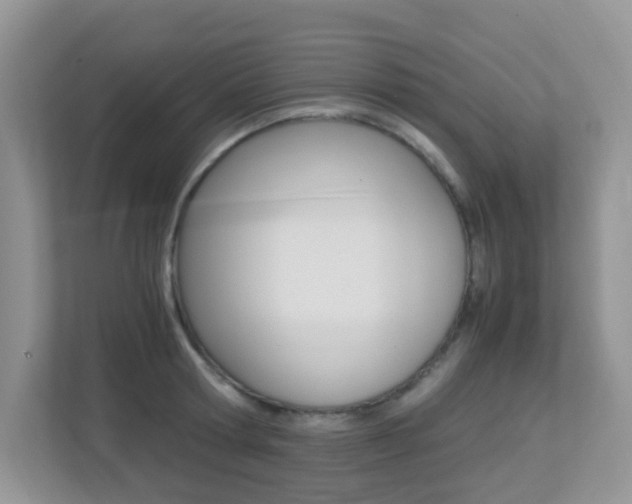 X0000113250802200909100942