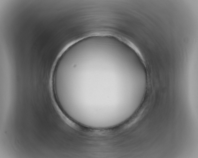 X0000113250803200909100941