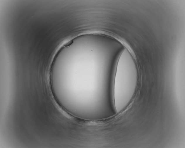 X0000113250805200909100941