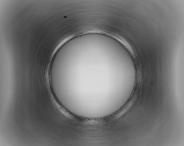 X0000113250806200909100941