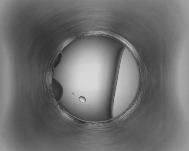X0000113250809200909100941