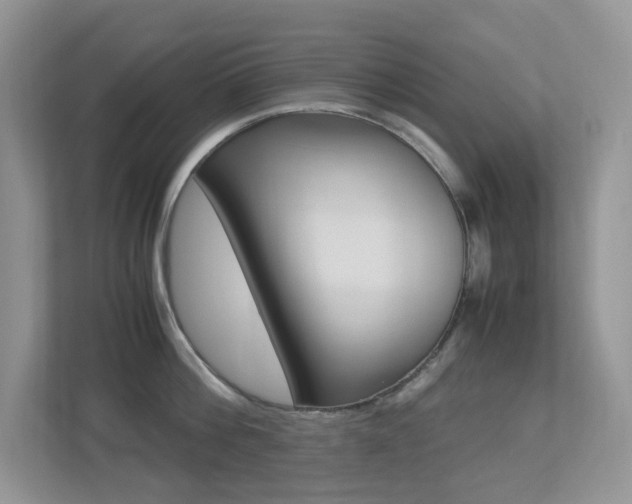 X0000113250812200909100941