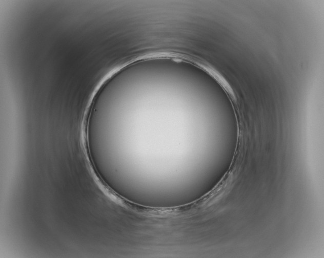 X0000113250813200909100941