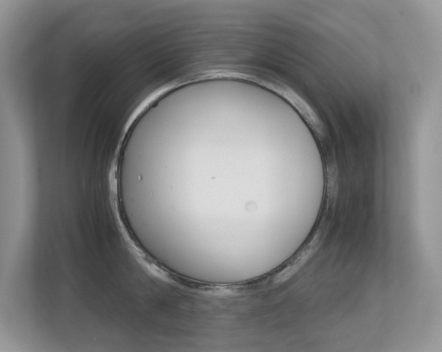 X0000113250814200909100941