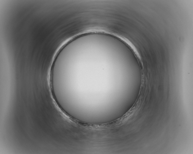 X0000113250815200909100941