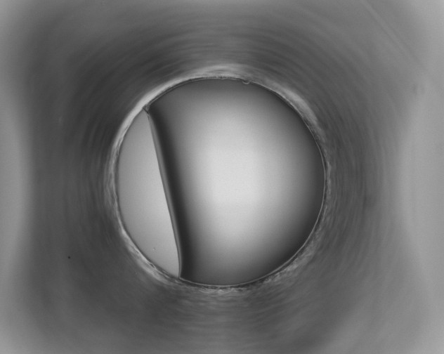 X0000113250816200909100941