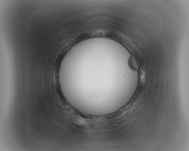 X0000113250819200909100941