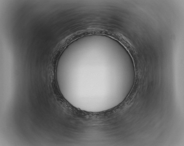 X0000113250821200909100941