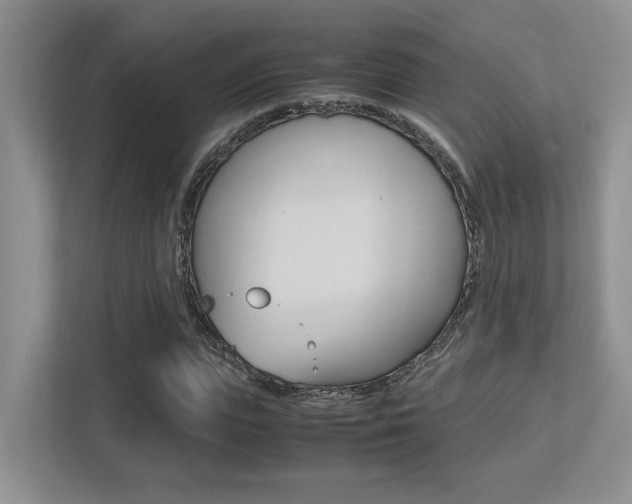X0000113250823200909100941