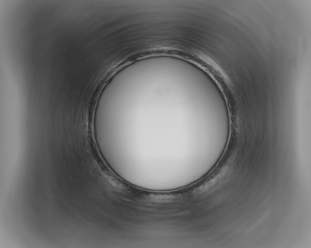 X0000113250825200909100941