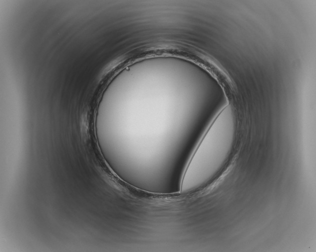 X0000113250826200909100941