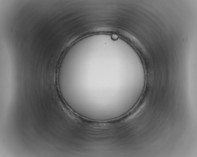 X0000113250833200909100941