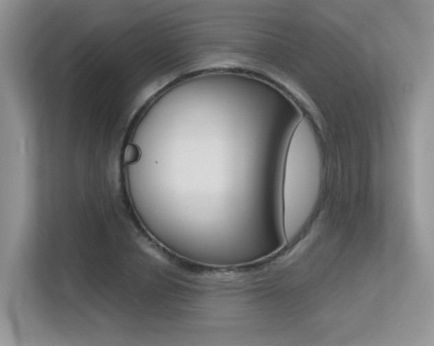 X0000113250834200909100941