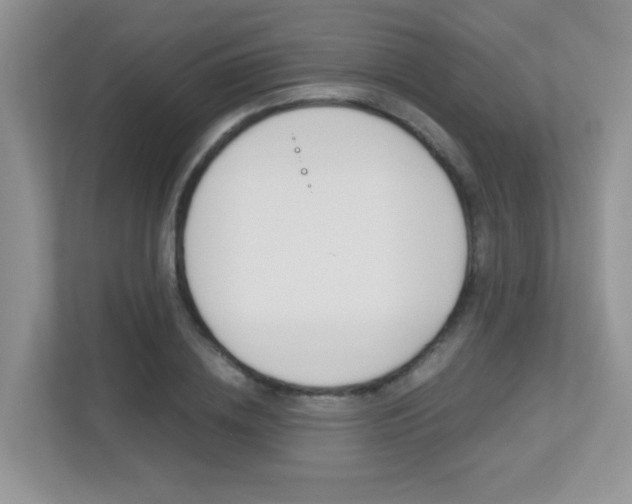 X0000113250836200909100941