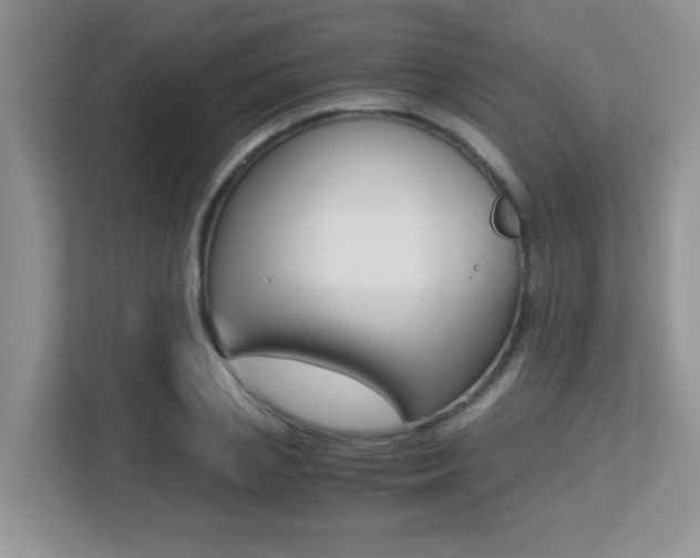 X0000113250837200909100941