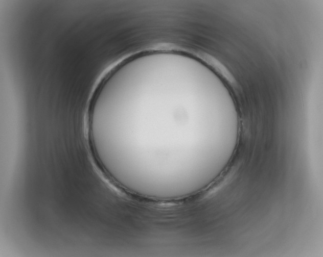 X0000113250839200909100941