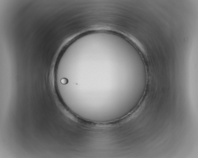 X0000113250840200909100941