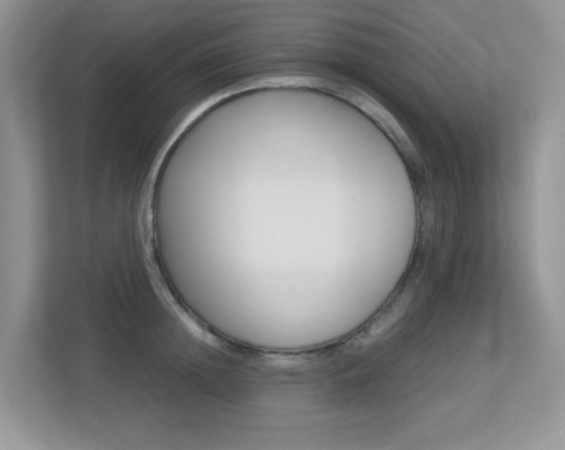 X0000113250852200909100941