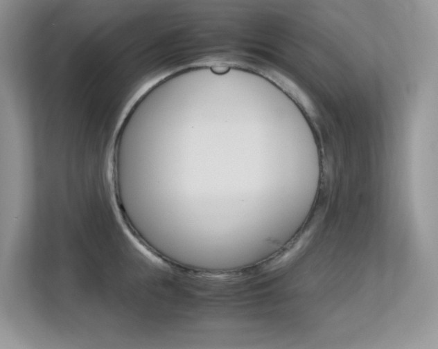 X0000113250855200909100941