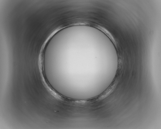 X0000113250859200909100941