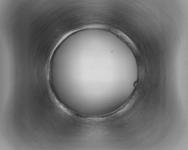 X0000113250860200909100941