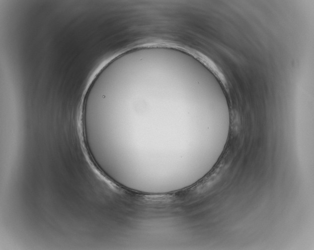 X0000113250863200909100941